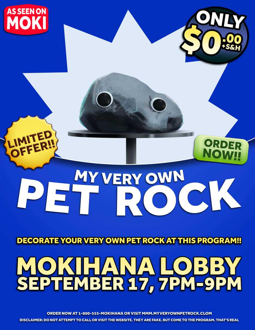 My very own pet rock